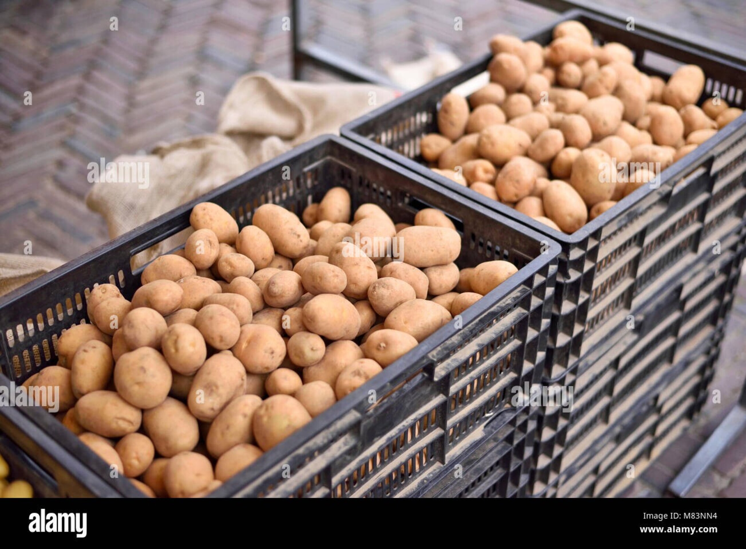 Patatas de valencia 6 cajas de 5 kilos cada una - 2