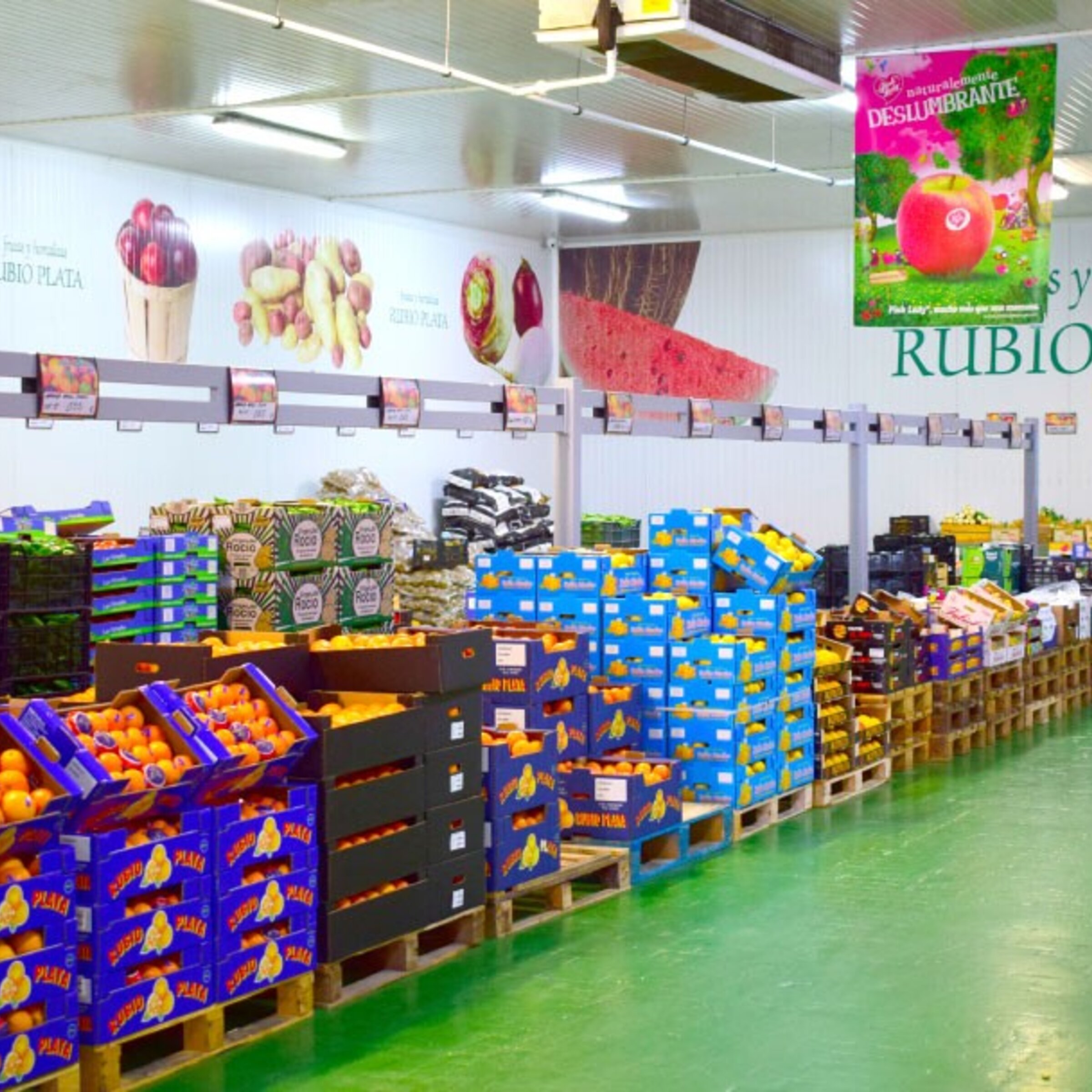 VENTA AL POR MAYOR PARA HOSTELERIA Y PEQUEÑAS TIENDAS