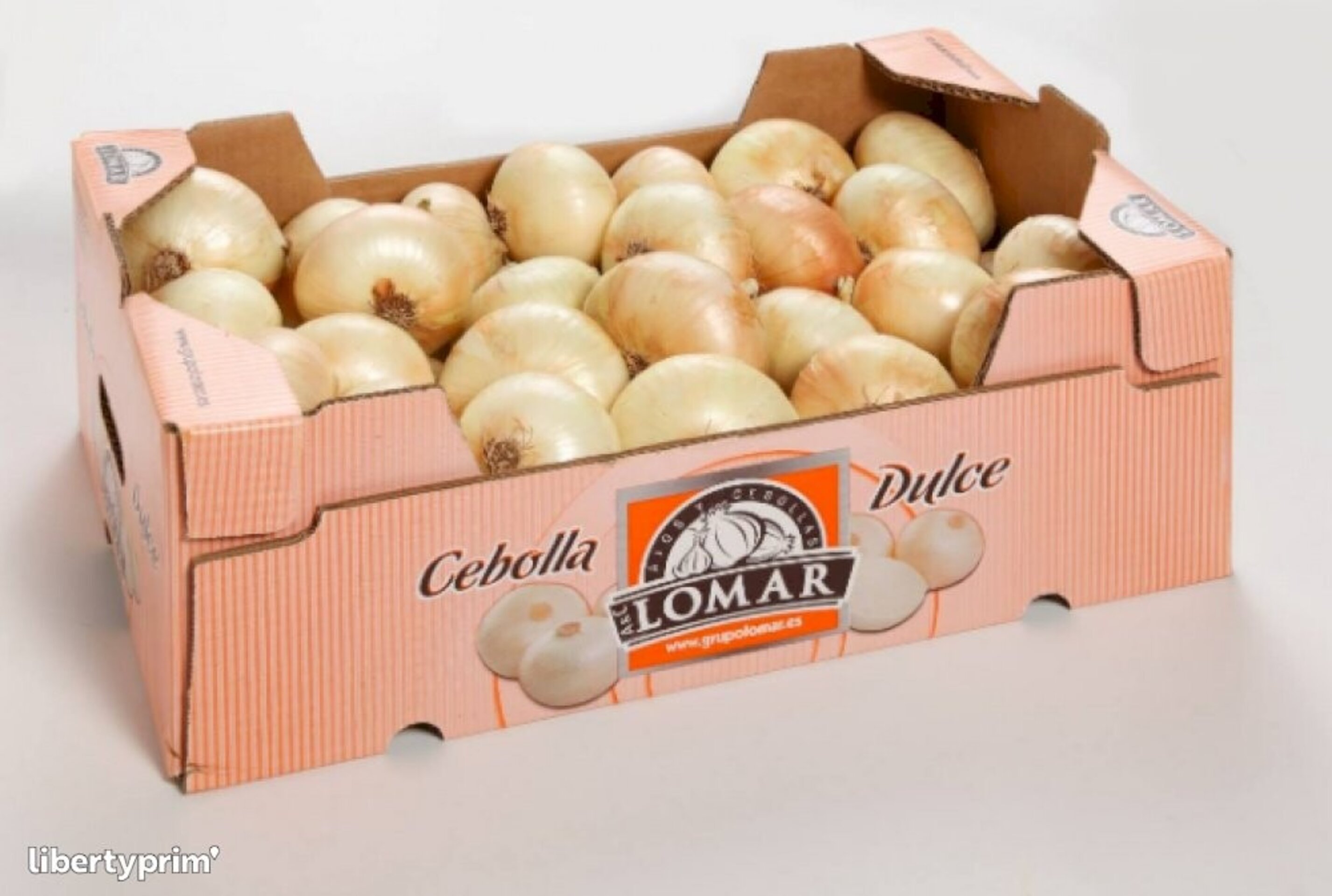 cebollas  6 cajas de cebollas de 5 kilos cada caja cebolla dulce - 2