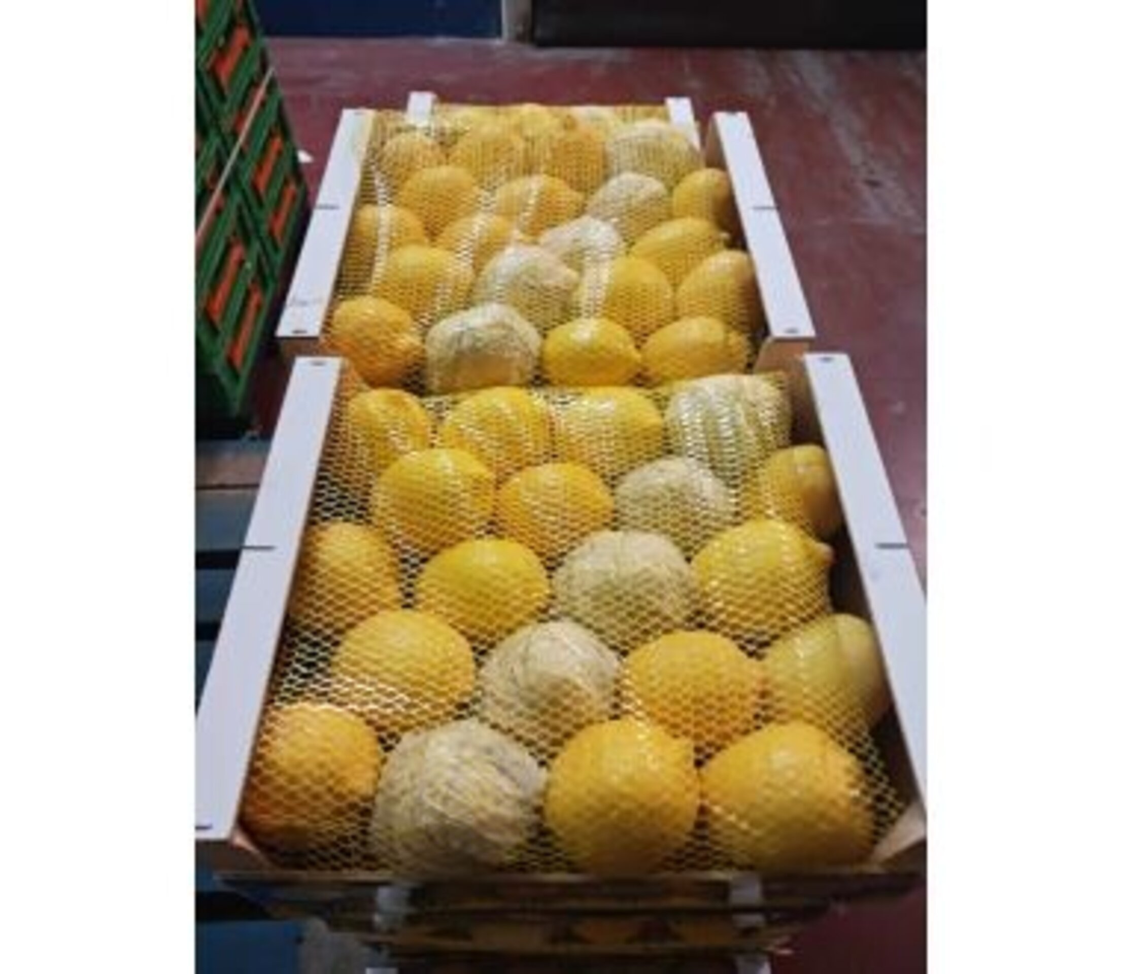 limones 6 cajas de 5 kilos cada una de  rico limones - 3