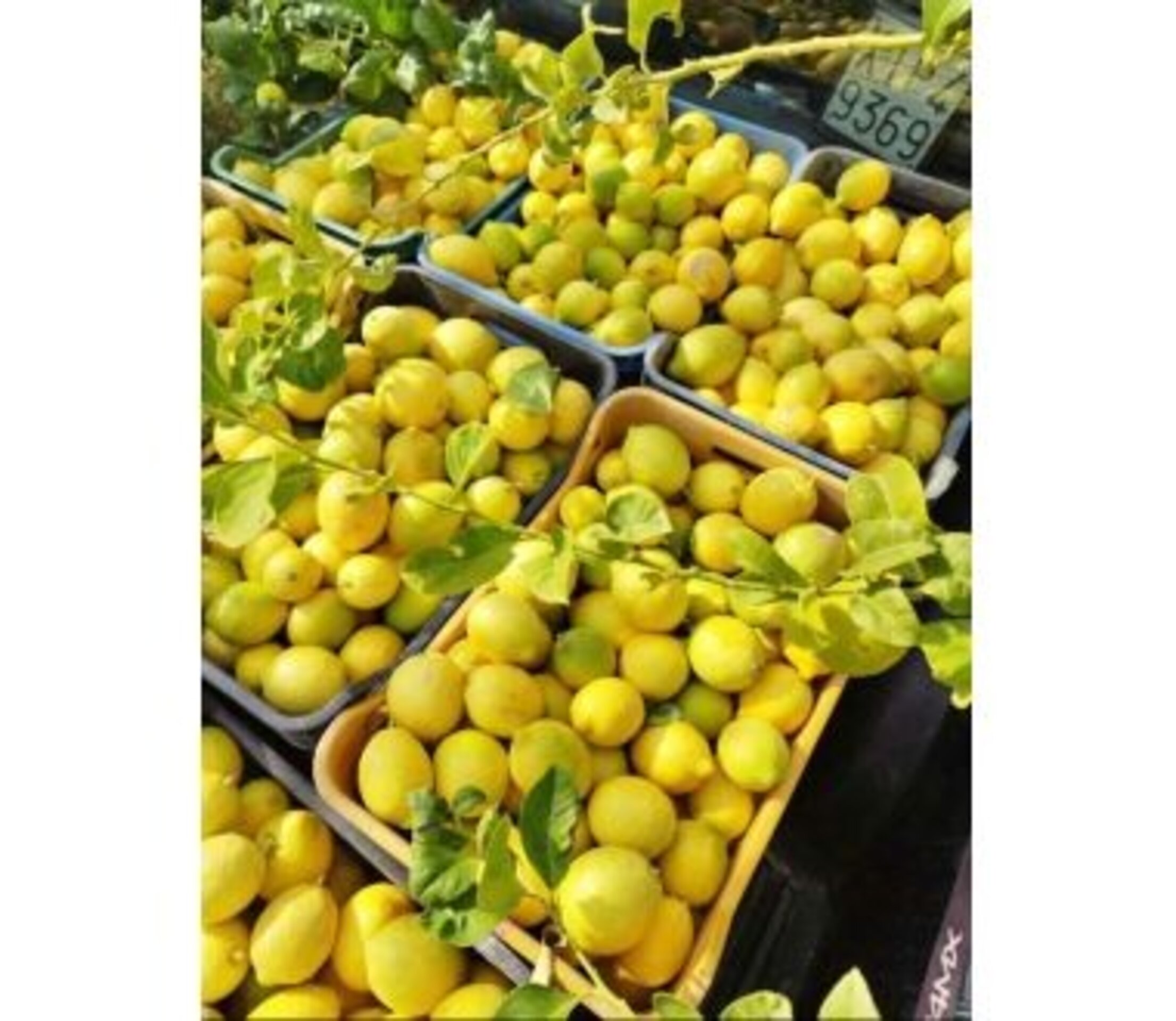 limones 6 cajas de 5 kilos cada una de  rico limones - 2