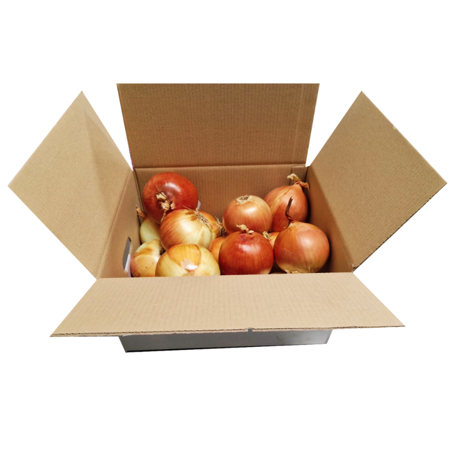 caja cebollas de 5 k ¡Descubre la dulzura que solo la Cebolla Dulce Española pu - 2