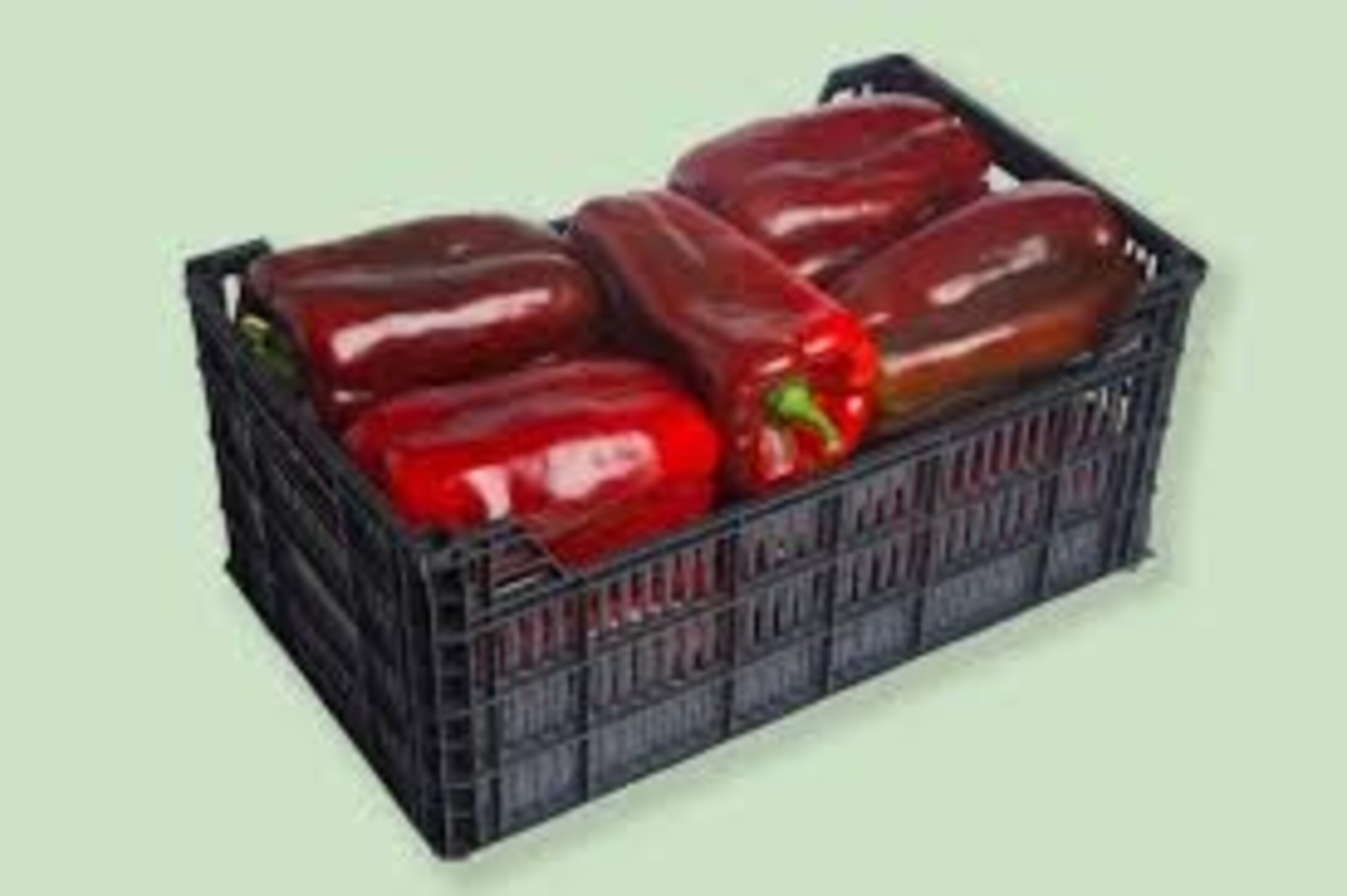 pimientos rojos caja 5 kilos  Pimiento rojo gordo - 2