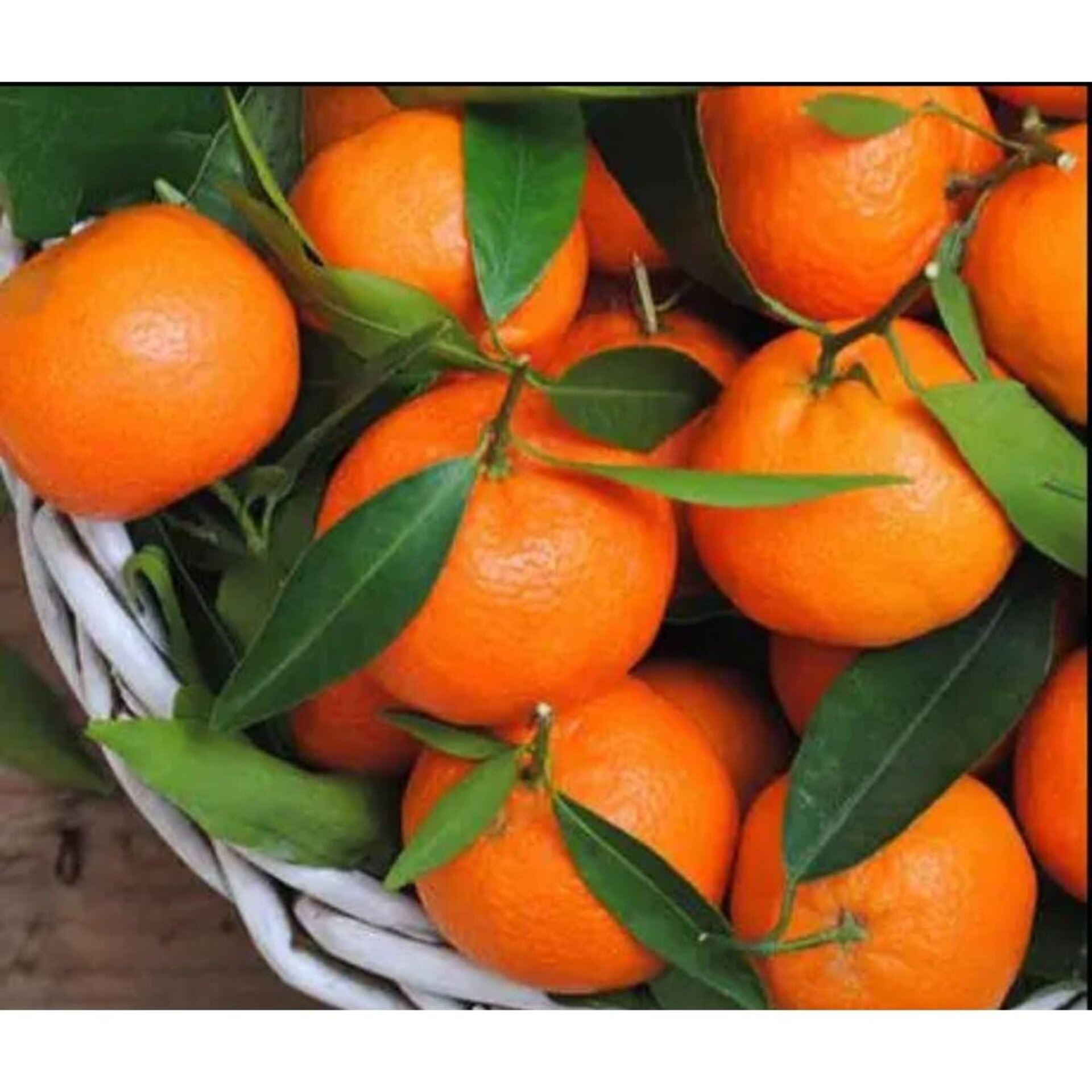 Naranjas clementinas  caja de 5 kilos  de labradores españoles naranjas de valen - 2