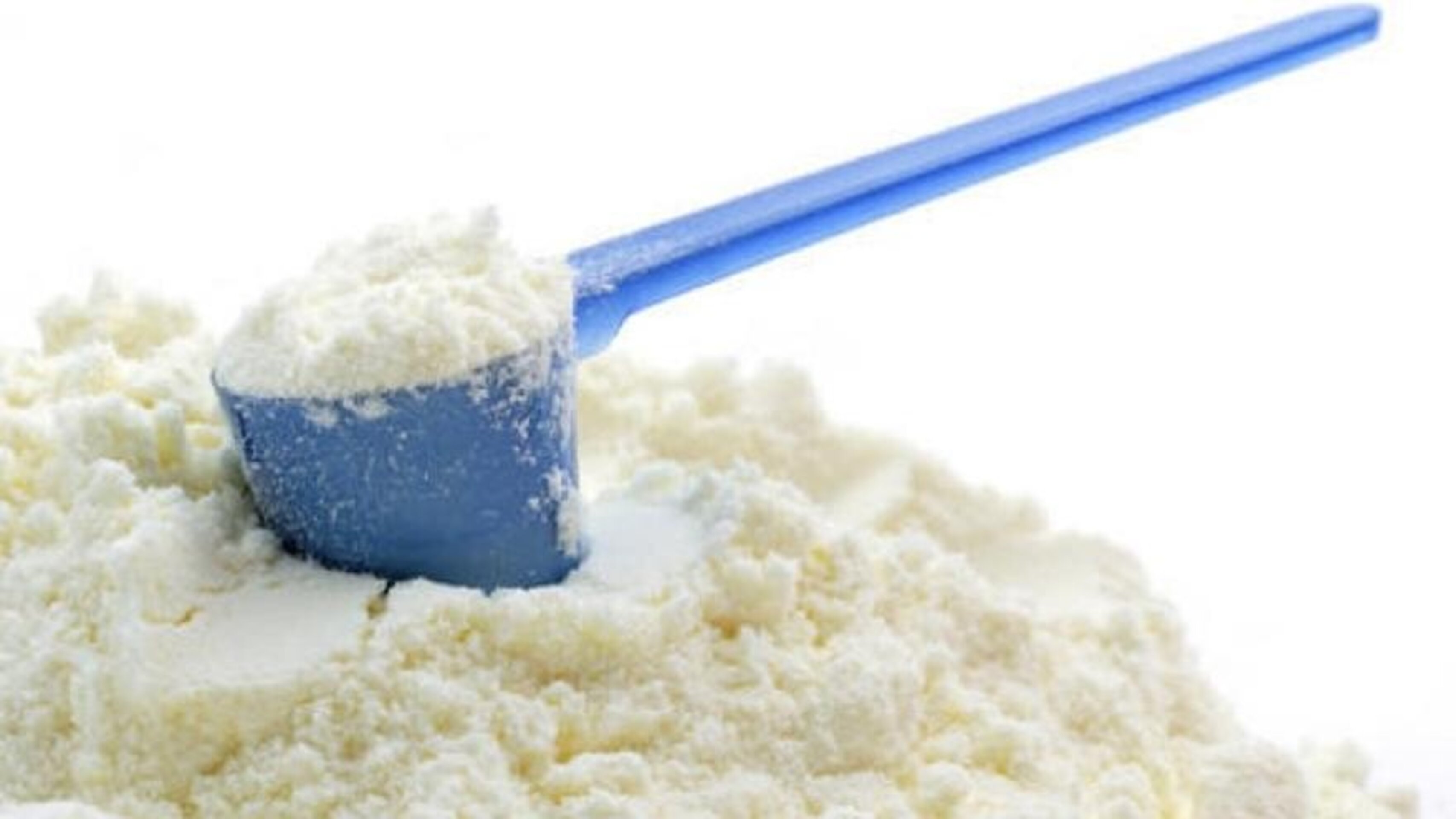 Leche en polvo desnatada 1kg Equivalencia de 10L de leche - 2